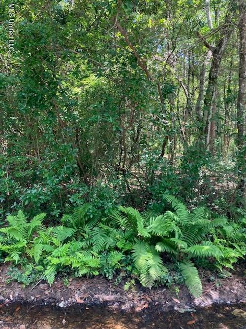 No Cullen St, Biloxi, MS, 39532-8900 | Card Image