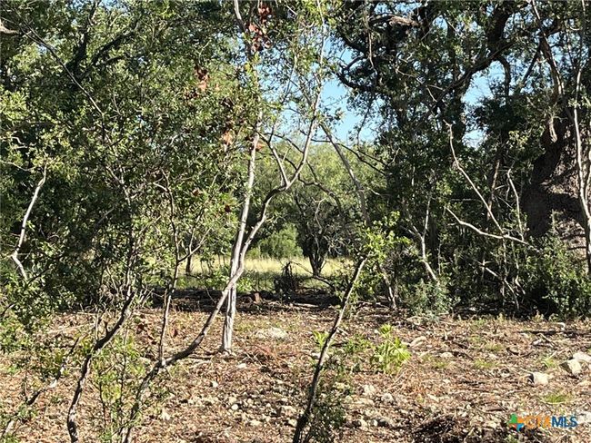 0 Rolling River Vw, Home with 0 bedrooms, 0 bathrooms and null parking in Spring Branch TX | Image 5