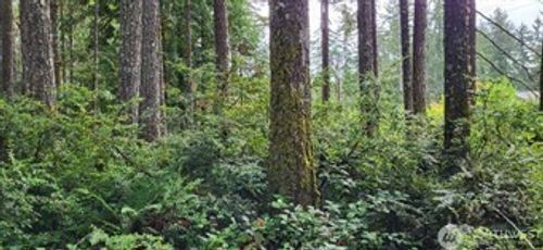 0 Nw Holly Rd, Seabeck, WA, 98380 | Card Image