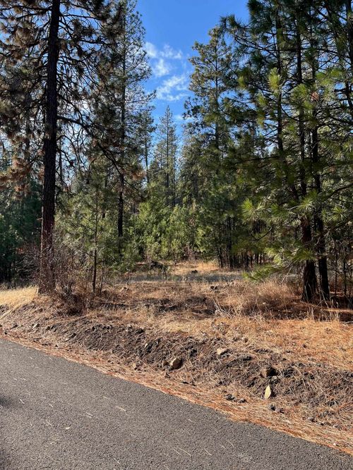 Lot 2 Wapiti Bobwhite Ln, Davenport, WA, 99122 | Card Image