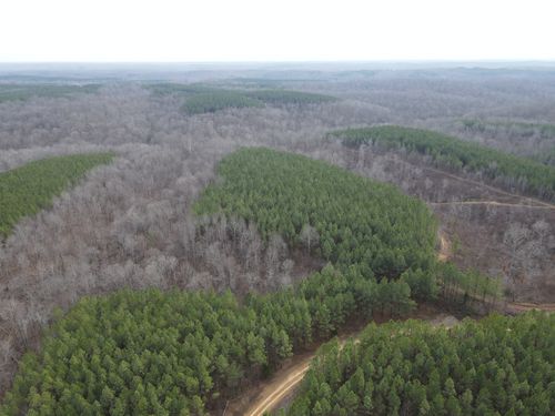 0 E Fork Rd, Stewart, TN, 37175 | Card Image