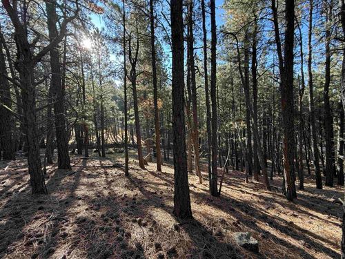 19 Valley Rd, Angel Fire, NM, 87710 | Card Image