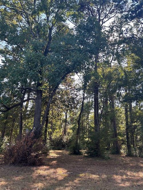 151617 Chain Rd, Livingston, TX, 77351 | Card Image