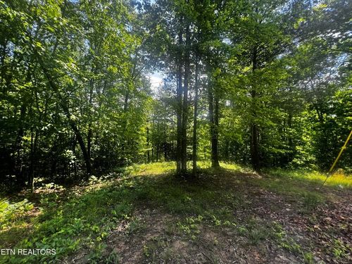 149 Fox Trl, Wartburg, TN, 37887-2500 | Card Image
