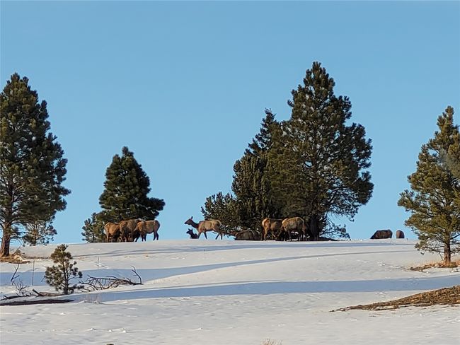 456 Boulder Frontage Rd, House other with 2 bedrooms, 2 bathrooms and null parking in Boulder MT | Image 47