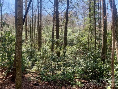 20a-Lot 20A Indian Lake Rd, Lake Toxaway, NC, 28747 | Card Image
