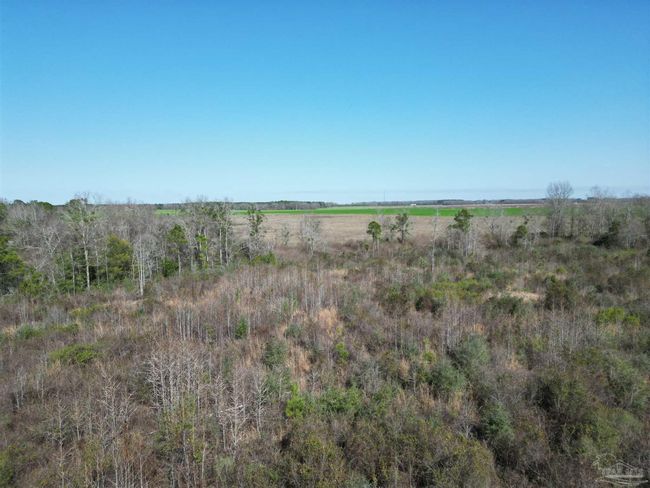 5400 Rockaway Creek Rd, Home with 0 bedrooms, 0 bathrooms and null parking in McDavid FL | Image 7