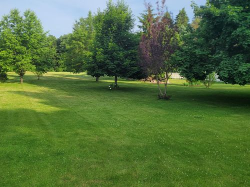 10041 Brooklawn Ct, Jerome, MI, 49249-9780 | Card Image