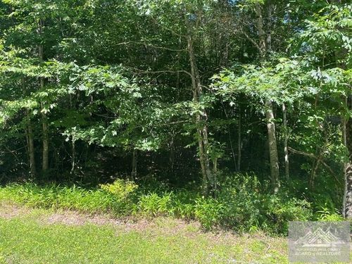 Lot 31/3 Cove Creek Road, Clear Fork, VA, 24314 | Card Image