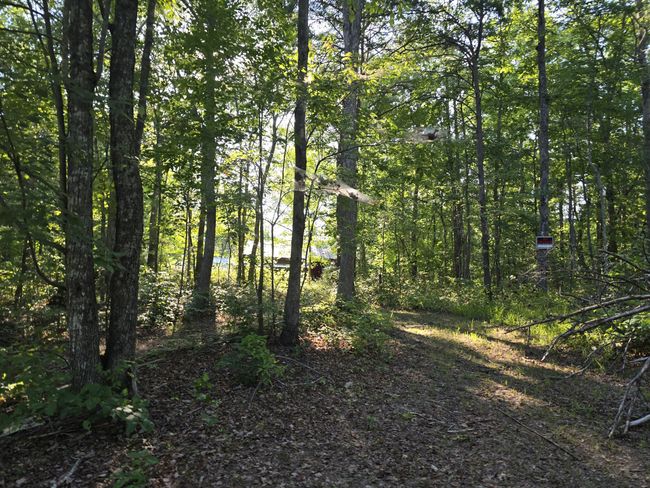 2185 Northcutts Cove Rd, House other with 1 bedrooms, 1 bathrooms and 4 parking in Beersheba Springs TN | Image 26