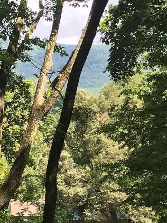 0 Piney Knob Dr, Home with 0 bedrooms, 0 bathrooms and null parking in Spring City TN | Image 4