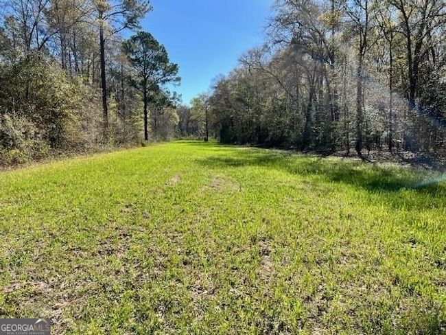 884 E Hwy 90, Home with 0 bedrooms, 0 bathrooms and null parking in Rupert GA | Image 10