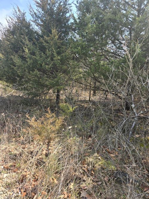 000 Farm Road 2085, Aurora, MO, 65605 | Card Image