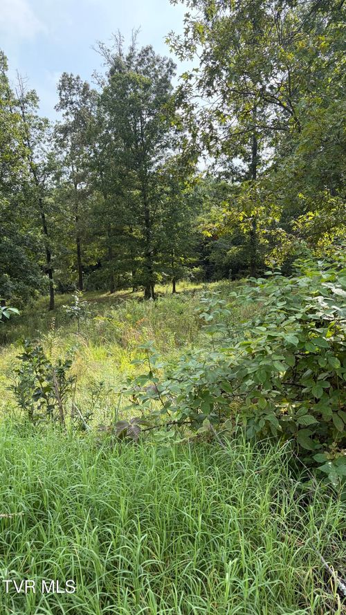 175 Coby Lane, Johnson City, TN, 37615 | Card Image