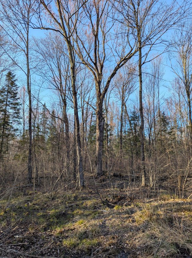 00 Cth X, Home with 0 bedrooms, 0 bathrooms and null parking in PRENTICE WI | Image 34