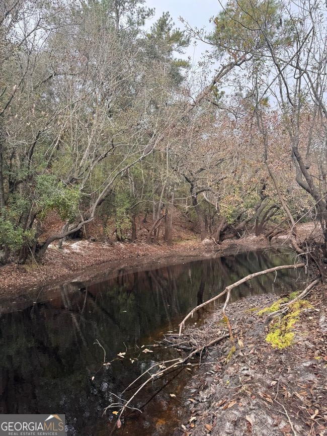 0 Highway 185, Home with 0 bedrooms, 0 bathrooms and null parking in Saint George GA | Image 51