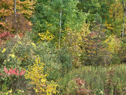 74066 Ridgeway, Lawton, MI, 49065-9273 | Card Image