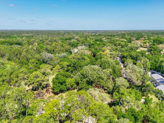 0 Carter Rd, Home with 0 bedrooms, 0 bathrooms and null parking in Saint Augustine FL | Image 18