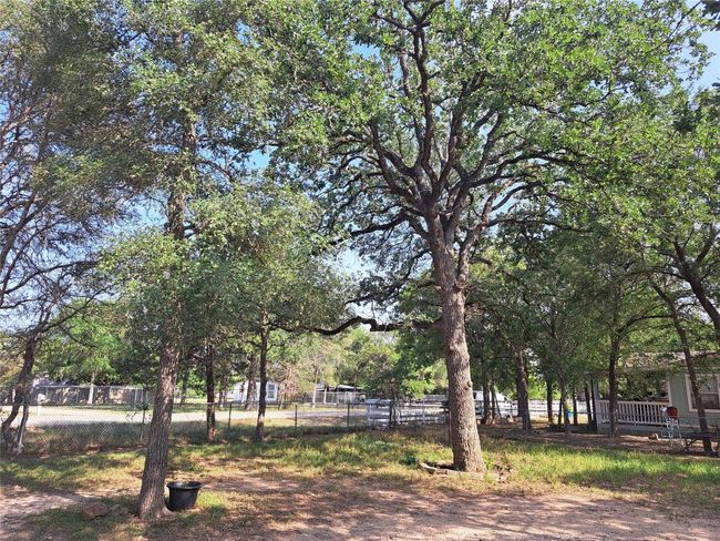 View of yard | Image 5
