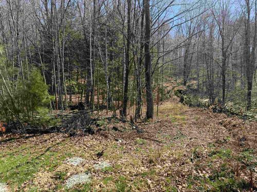 00 Robin Bird Ln, Brandon, VT, 05733 | Card Image