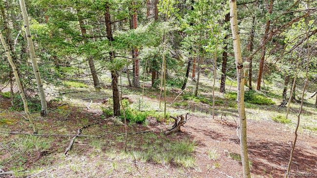 94 Mariposa Cir, Home with 0 bedrooms, 0 bathrooms and null parking in Cripple Creek CO | Image 8