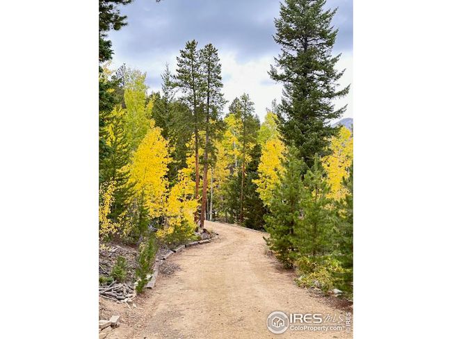 287 S Skinner Rd, House other with 2 bedrooms, 3 bathrooms and null parking in Allenspark CO | Image 35