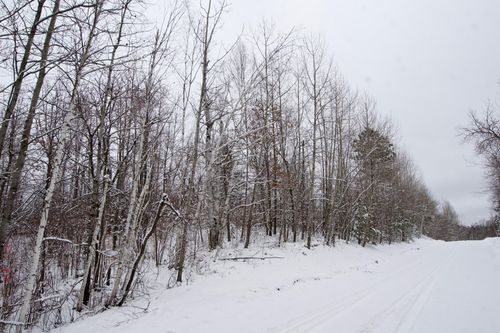 TBD Sheridan Woods Ln Ne, Outing, MN, 56662 | Card Image