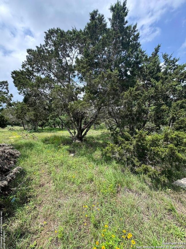 262 Wren Cir, Home with 0 bedrooms, 0 bathrooms and null parking in Spring Branch TX | Image 4