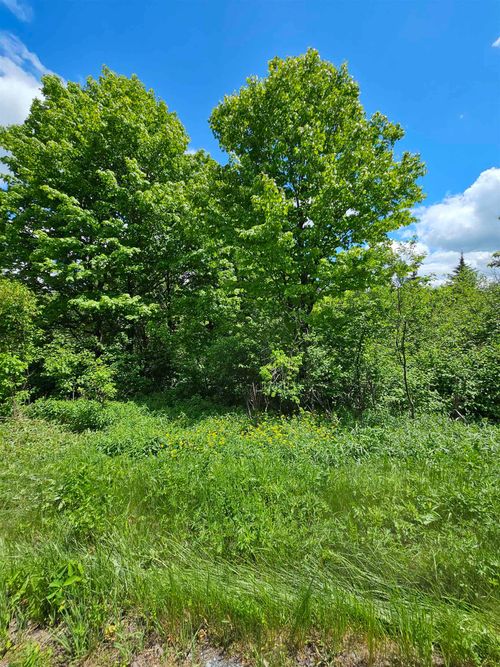 5776 Vt Route 9, Woodford, VT, 05201-9438 | Card Image