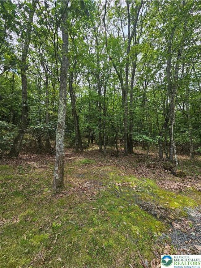 178 Sparrow Ln, House other with 3 bedrooms, 2 bathrooms and null parking in Jim Thorpe PA | Image 17