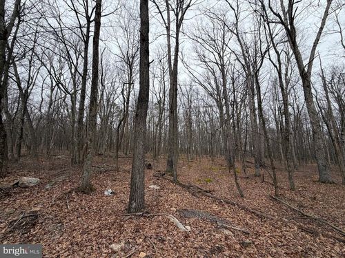 519 Haystack Dr, Zion Grove, PA, 17985-9206 | Card Image