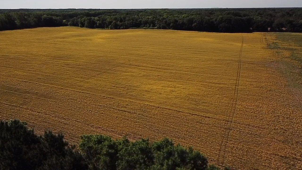 Land in Becker 2