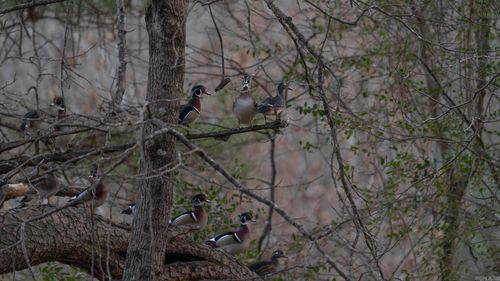 TBD S Rondo Rd, Texarkana, AR, 71854 | Card Image