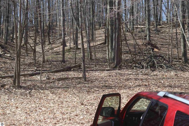 lot 22 Crystal Ridge Dr, Home with 0 bedrooms, 0 bathrooms and null parking in Beulah MI | Image 4
