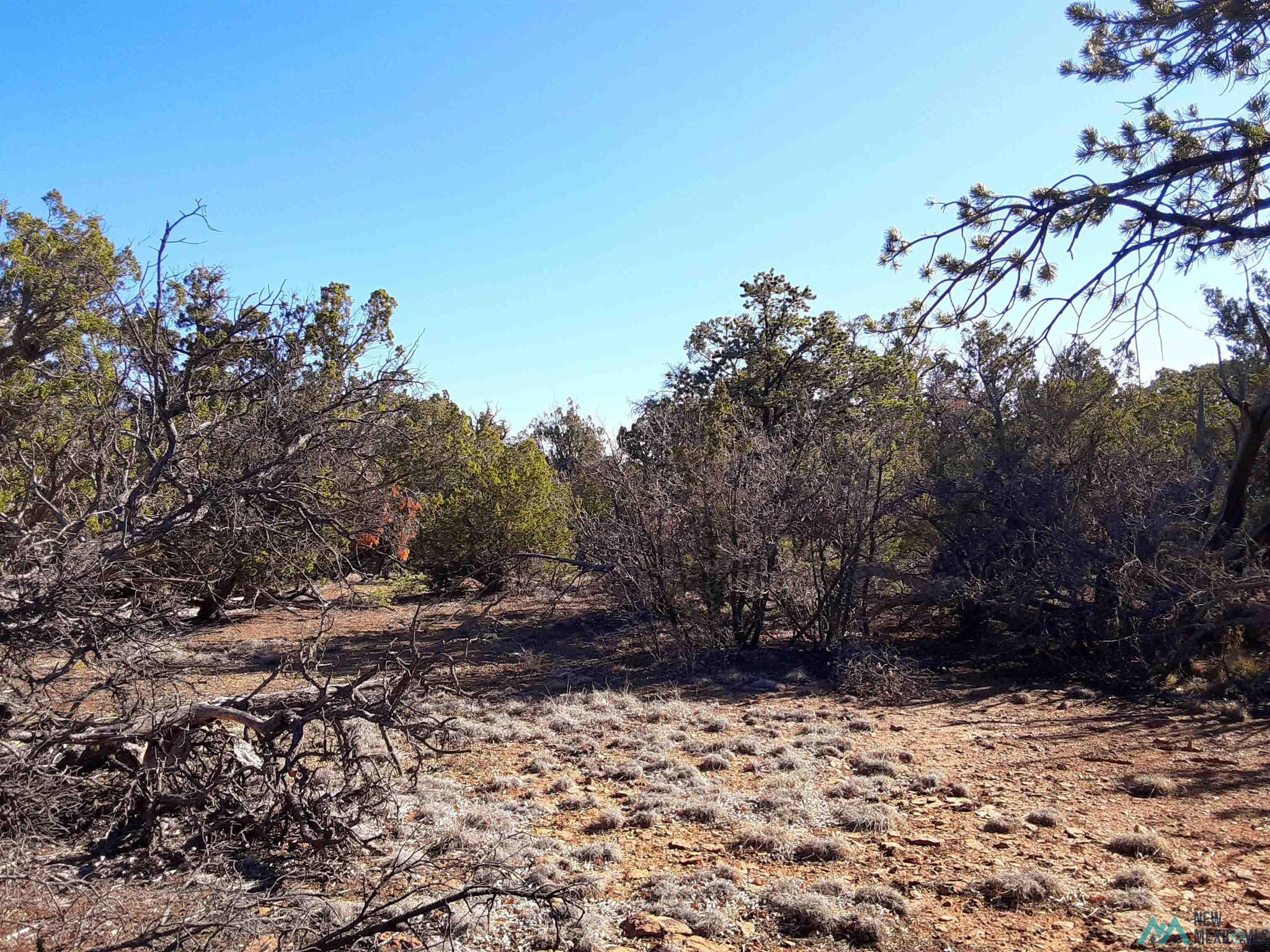 Land in Pinehill 3