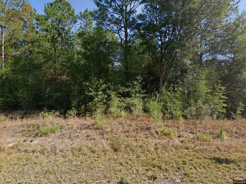 lot-29-20313 Sw Audubon Avenue, Dunnellon, FL, 34431 | Card Image