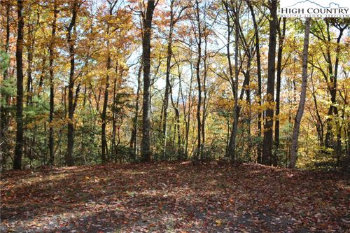 7 Charlie Warwick Rd, Fleetwood, NC, 28626 | Card Image