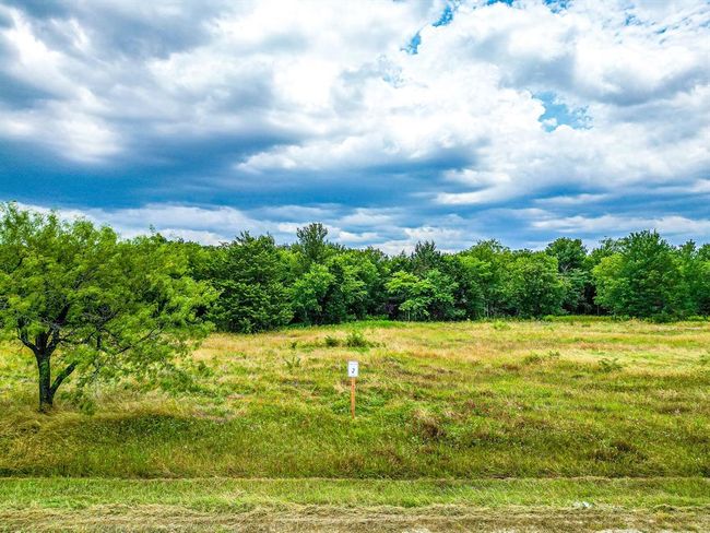 lot 2 Grison Circle, Home with 0 bedrooms, 0 bathrooms and null parking in Corsicana TX | Image 6