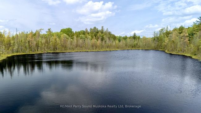 372 Mcdougall Rd, Home with 0 bedrooms, 0 bathrooms and null parking in Mcdougall ON | Image 8