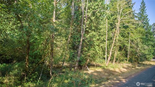 10114 Selma Cir, Anderson Island, WA, 98303 | Card Image