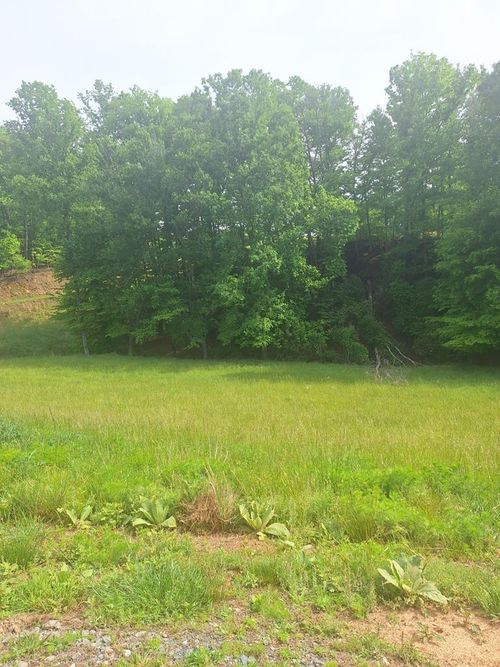 Lot 67 Hillside, Morganton, GA, 30560 | Card Image
