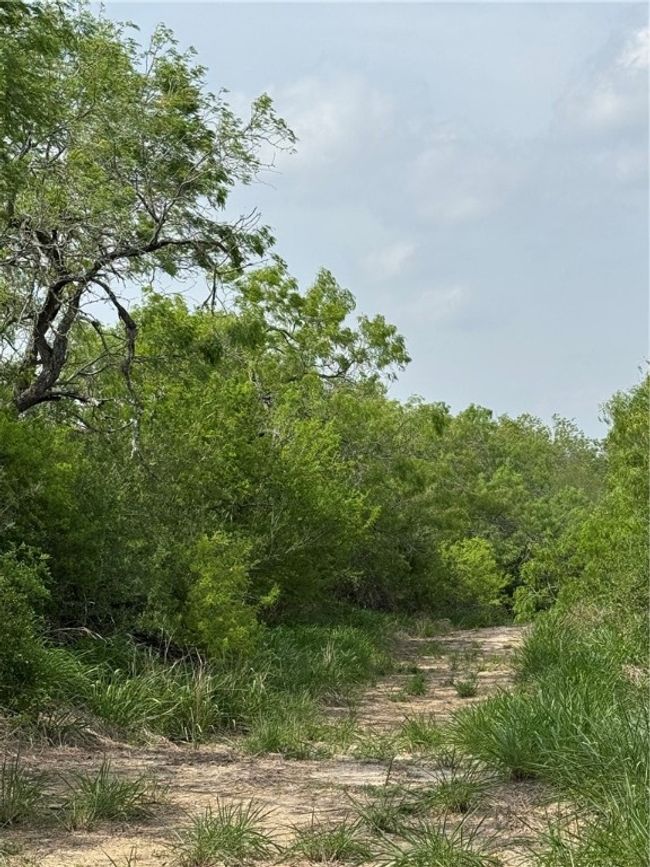 5525 Ravine Rd, Home with 0 bedrooms, 0 bathrooms and null parking in Robstown TX | Image 10
