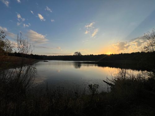 Lot #S 6, 7, And 8 Sunset Drive, Marshfield, MO, 65706 | Card Image
