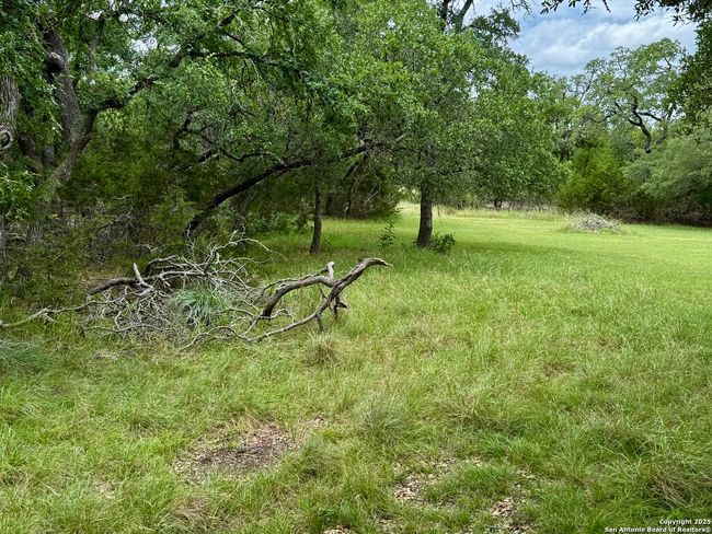 1187 Long Meadow, Home with 0 bedrooms, 0 bathrooms and null parking in Spring Branch TX | Image 10