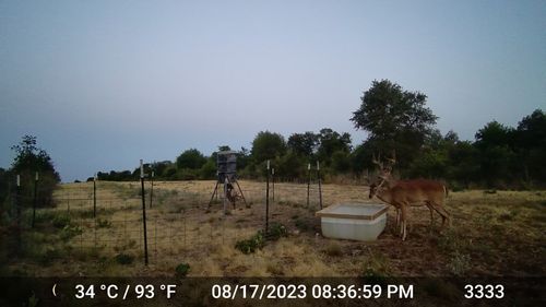 11653 Fm 1226 Parcel C, Hawley, TX, 79525 | Card Image