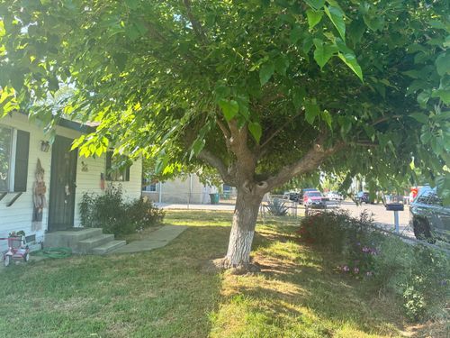 130 11th Street, Orange Cove, CA, 93646 | Card Image