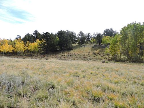 400 Aspen Way Drive, Lake George, CO, 80827 | Card Image