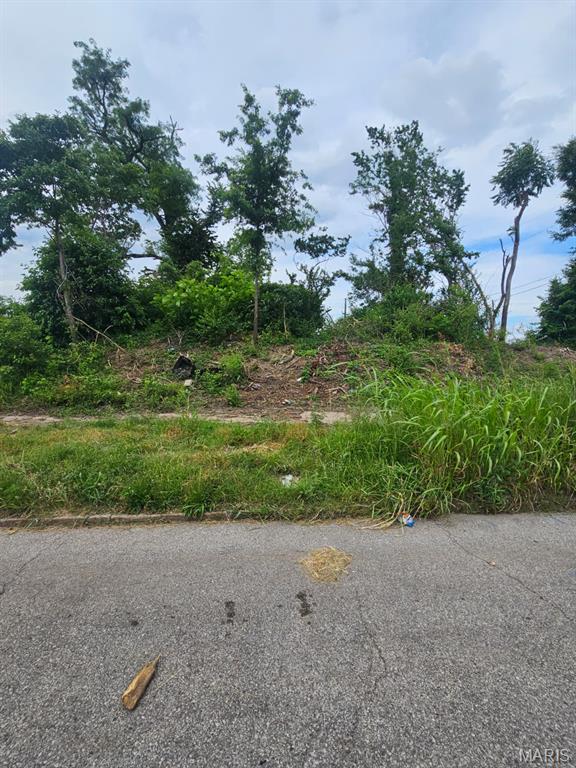 Land in St Louis 2