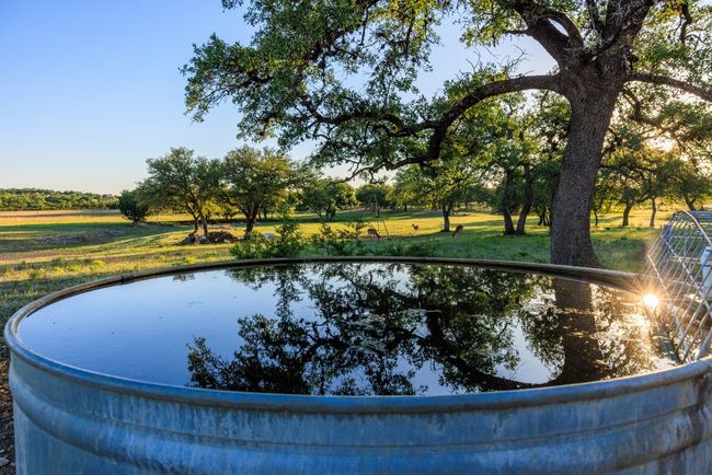 Watering trough for wildlife/livestock | Image 15