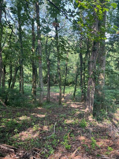 0 Shop Springs Rd Lot 11, Home with 0 bedrooms, 0 bathrooms and null parking in Watertown TN | Image 3